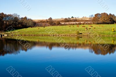 beautiful view of the landscape