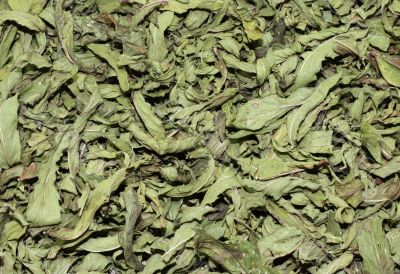 Dried Mint
