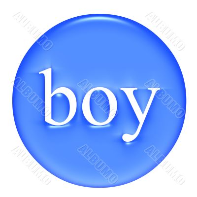 Boy Badge