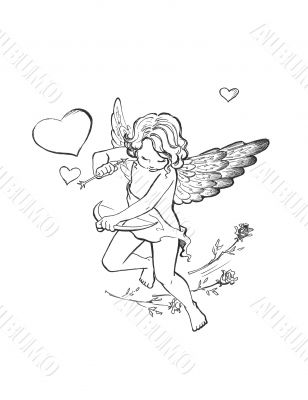 Small cupid