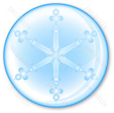 Snowflake in the ball