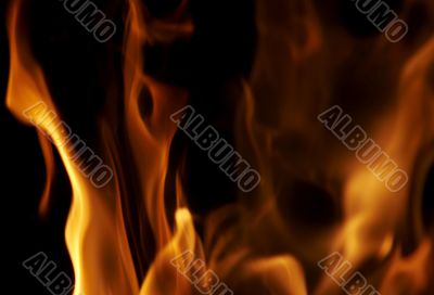 flames flames