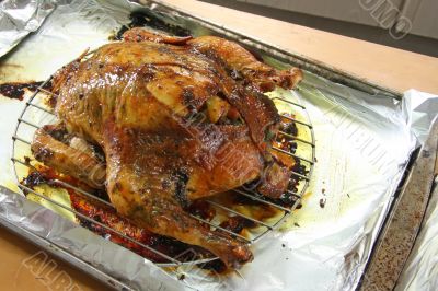 Whole roast chicken