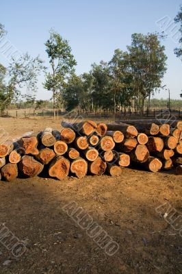 Logs, India