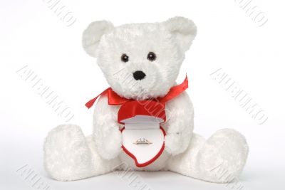 Bear Holding Engagement Ring