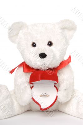 Bear Holding Engagement Ring