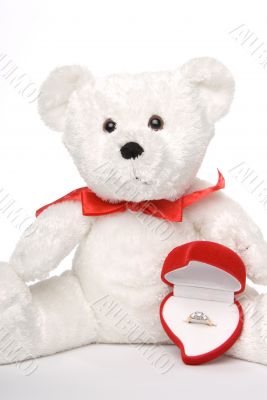 Bear Holding Engagement Ring