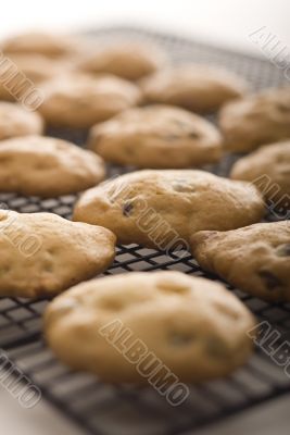 Fresh home made cookies on a cooling rack