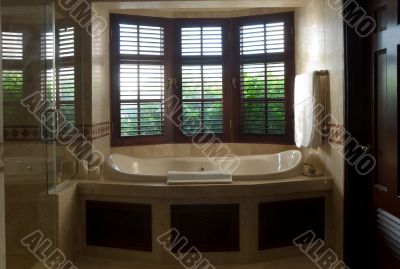 Luxurious Bath with window view