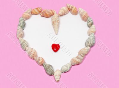 Shells heart