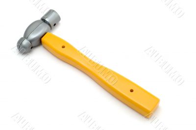yellow hammer
