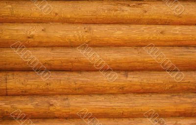 Natural Log Wall
