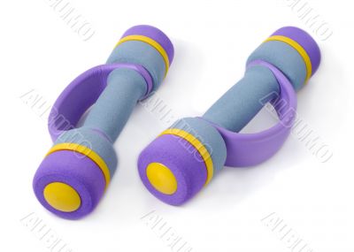 Woman`s Dumbbells Woman`s Dumbbells