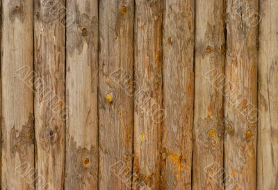 Old Log Wall Old Log Wall