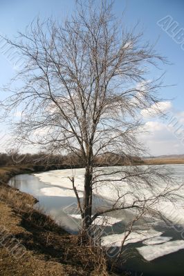 Spring landscape . Spring landscape .
