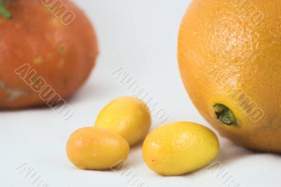 Citrus fruits Citrus fruits
