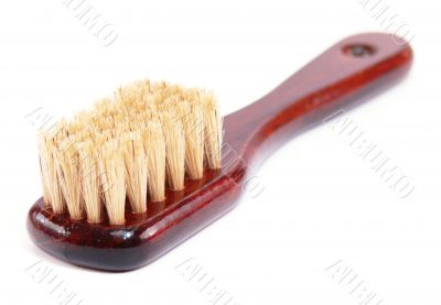 Shoe brush