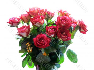 Bouquet of roses