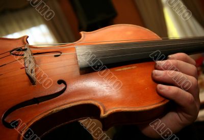 Violin