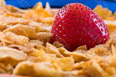 Corn Flakes and Strawberries - Close up Corn Flakes and Strawberries - Close up