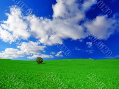 Green Country Field Green Country Field