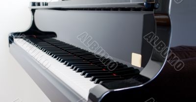 Grand Piano Grand Piano