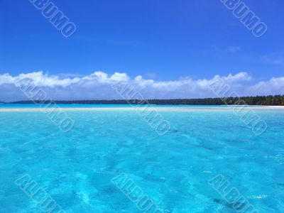 Tropical Ripple Tropical Ripple
