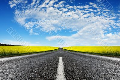 Canola Road Canola Road