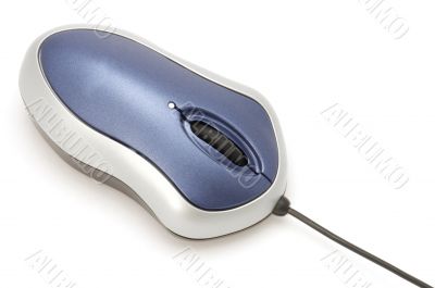colored mouse