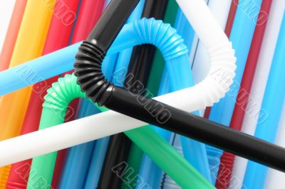 Curly tubules Curly tubules