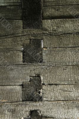 Burnt wood texture