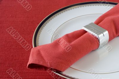 napkin on the plate