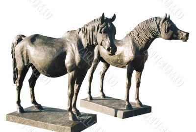 Monument arabic horse.