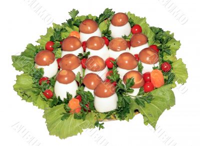 `Forest glade` `Forest glade`