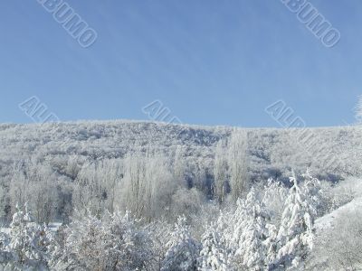 Christmas landscape