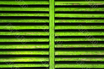 old green shutter