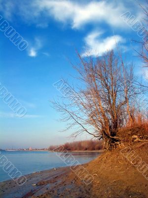 muddy bank of river Danube