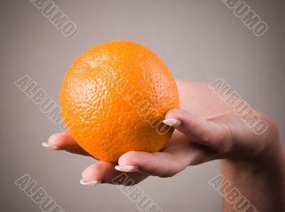 Orange on a hand