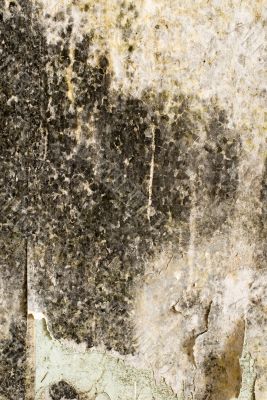 Background an old wall Background an old wall