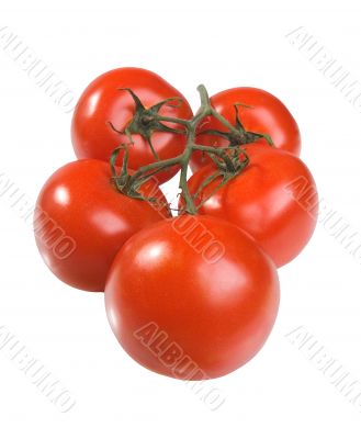 The Spanish tomatoes