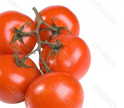 The Spanish tomatoes