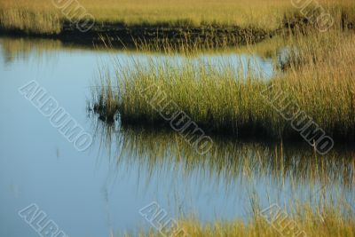 late afternoon riverbank