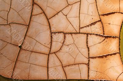 Ragged Cracks Ragged Cracks