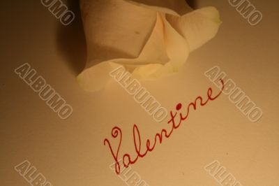 Valentine Rose Valentine Rose