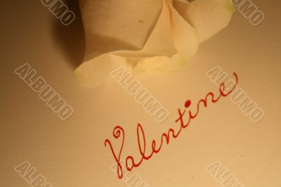 Valentine Rose Valentine Rose