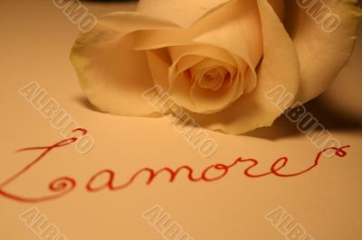 Valentine Rose Valentine Rose