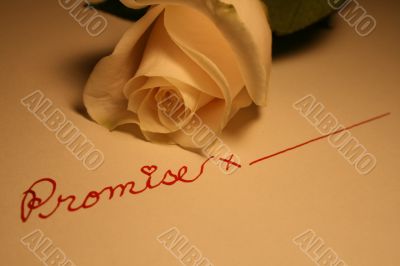 Valentine Rose Valentine Rose