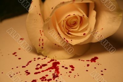 morbid valentine morbid valentine