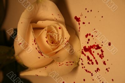 morbid valentine morbid valentine