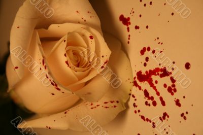 morbid valentine morbid valentine